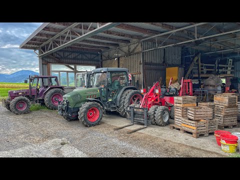 POTATOES in WEEDS! Will there be a harvest on a FARM in SWITZERLAND?