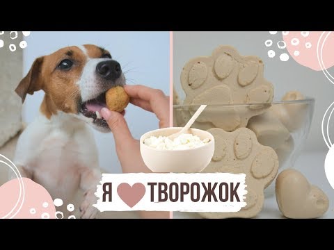 НЕ УДЕРЖАЛАСЬ И СЪЕЛА СОБАЧЬИ ВКУСНЯШКИ!!! | ОЧЕНЬ ВКУСНЫЕ И ПОЛЕЗНЫЕ ЛАКОМСТВА ДЛЯ СОБАК