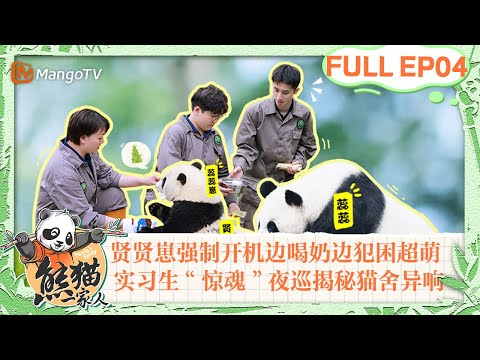 MULTI SUB｜熊猫认得自己的饲养员吗？贤贤崽强制开机边喝奶边犯困超萌！饲养员“惊魂”夜巡揭秘内舍异响｜《熊猫一家人Panda‘s Family》｜EP04｜MangoTV