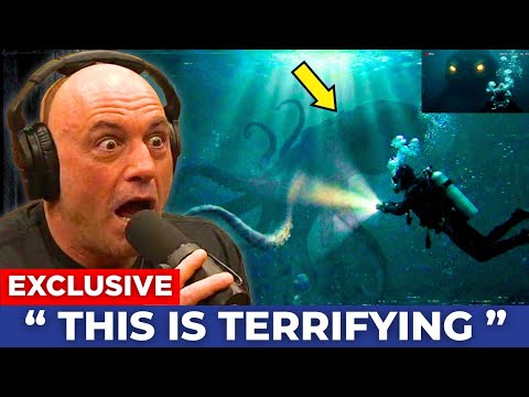 A Deep-Sea Diver Quit His Job — What Terrified Him at 180 Feet Changed Everything