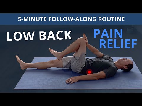 5 Minute Daily Routine for Low Back Pain Relief (FOLLOW-ALONG)