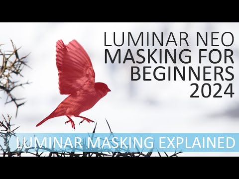 How to Use Masks in Luminar Neo - A Beginners Guide