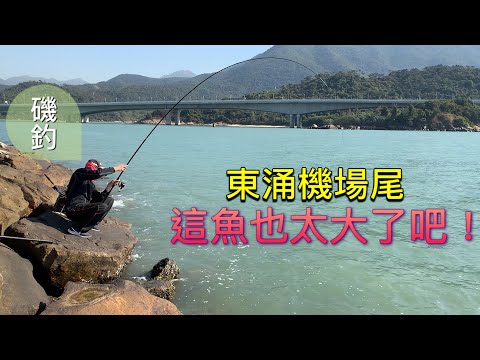 香港釣魚｜東涌機場尾磯釣這魚也太大條了吧 步兵也能釣上大魚