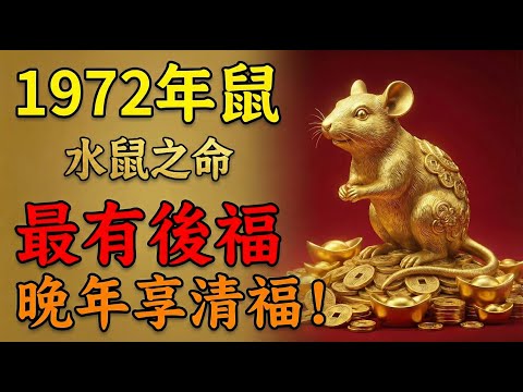 1972年屬鼠人，水鼠之命！你最有後福！年輕時受的苦，都是晚年享福的「本錢」，誰也搶不走！#1972年屬鼠 #壬子鼠 #水鼠 #屬鼠運勢 #生肖鼠 #生肖鼠運勢 #轉運 #招財 #守財 #風水 #命理
