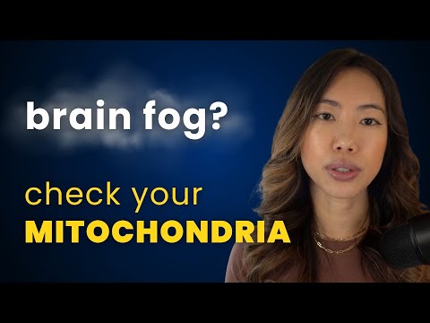 Brain Fog Isn’t in Your Head — It’s in Your Cells