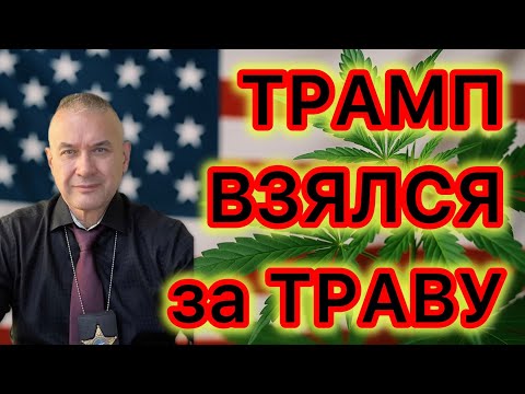 Трамп меняет квалификацию каннабиса на федеральном уровне -  больше свобод и меньше ответственности 