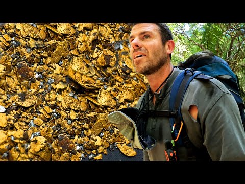 This wasn't EXPECTED and may be my GREATEST DISCOVERY so far!!