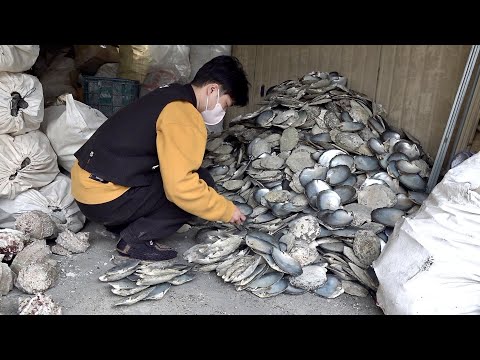 Process of Making Beautiful Decoration with Seashells. Korean Mother-of-pearl Factory