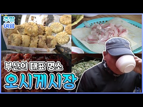 부산 노포동 오시게시장으로 어서 오시게~ [공간다큐 그 곳]