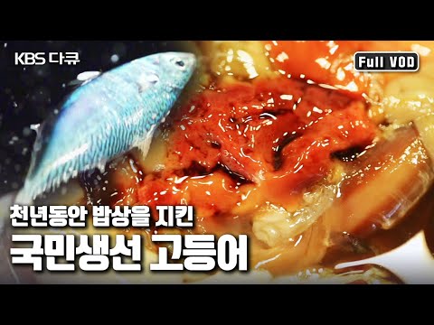 내장젓갈부터 훈제구이까지, 임금님 밥상에 오르던 귀한 고등어밥상! | 해양특별기획 고등어 2부 “천년의 밥상 국민 생선 고등어” (KBS 141106 방송)