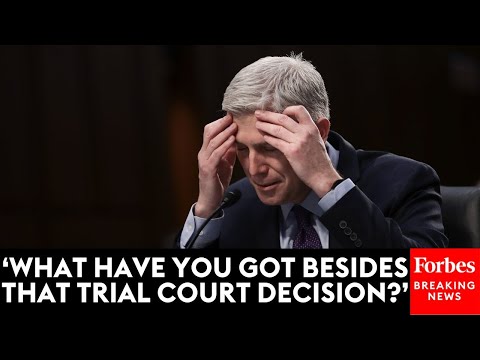 Neil Gorsuch Calls Into Question Attorney's Entire Argument With One Question About Previous Ruling
