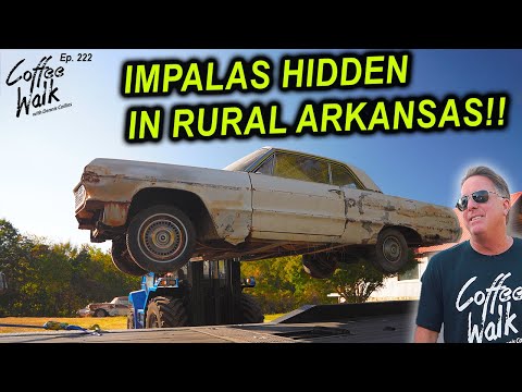 RESCUED: 7 Hidden Cars in Rural Arkansas!!