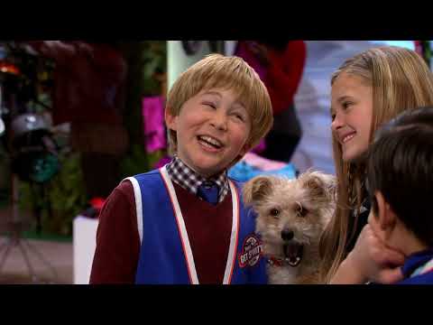 Vier für Admiral Matschpfote