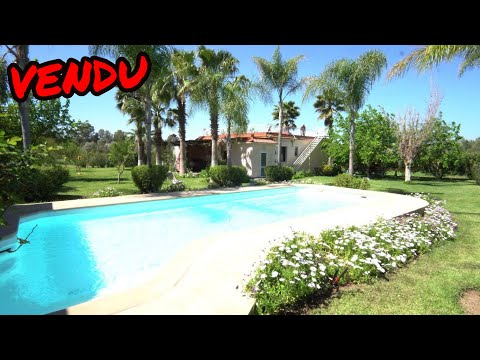 ✨أروع فيرمة ممكن تعيش فيها مجهزة بمنزل كبير ومسبح جميل و ستوديو خشبي ديالك فين تعيش الحياة  ✨السهول