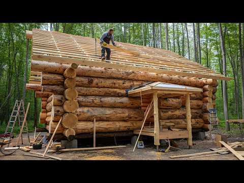 From Raw Logs to a Strong Forest Cabin Built by Hand