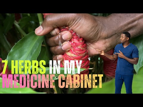 7 Herbs in My Medicine Cabinet