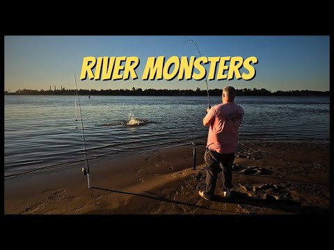 Catching Catfish on the Mighty Mississippi! | Kool-Aid Chicken Bait Experiment Gone Wild