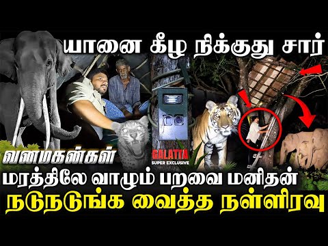 🐘யானைக்கு நம்ம பேசுறது கேக்குது😱நள்ளிரவில் இறங்கிய கொம்பன்🐘துப்பாக்கியுடன் இறங்கிய வனத்துறை😮| Ep-2