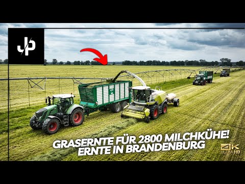 Grasernte für 2800 Milchkühe! 5000HA Betrieb in Brandenburg || JP Agrar