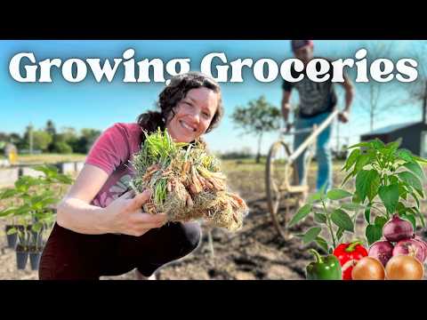 How To Grow A TON OF FOOD Without Burning Out (part 1)