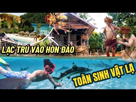 VÙNG BIỂN TOÀN TÔM, CUA, CÁ MÀ SAO KHÔNG AI DÁM RỚ?  THIÊN ĐƯỜNG CHÂU Á RAJA AMPAT