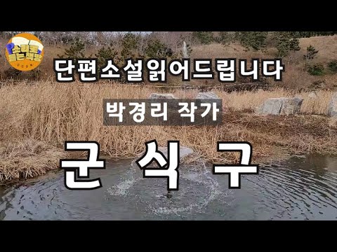 [단편소설읽어드립니다] 군식구 / 박경리 작가/ 양 서방은 아내가 배반하고 가버린 후 20여년 동안 술을 마셔 온 알콜 중독자이다. 사위 진길이와 사진관사내의 조롱에 그의 증오는.