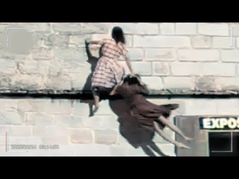 Incredible Moments Caught on Camera