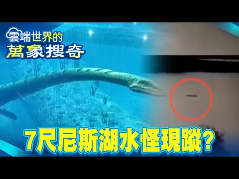 Do mysterious giant sea monsters really exist?