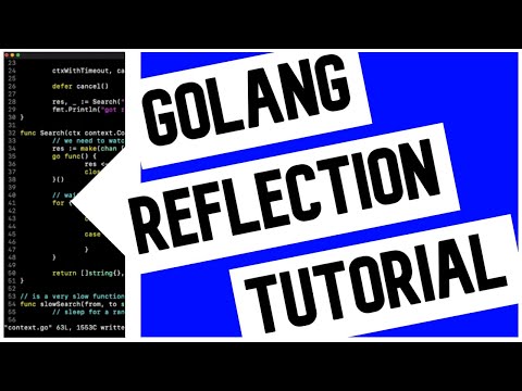 Go (Golang) Reflection Tutorial