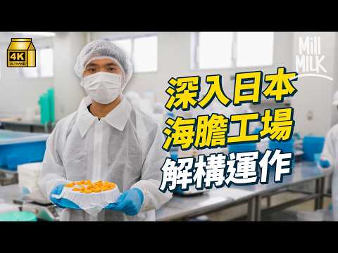 #MM｜北海道出海撈過百公斤海膽 當地人推介紫海膽 學日本人煮法煮熟嚟食｜#飛去試一次 #4K