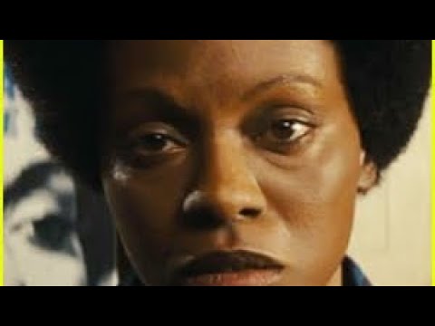 Nina (2016): The Biopic That Sparked a Global Debate