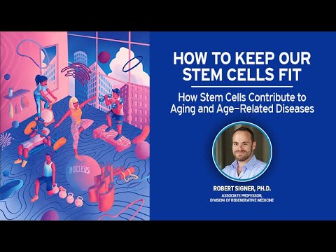 How Stem Cells Contribute to Aging and Age-Related Diseases with Rob Signer