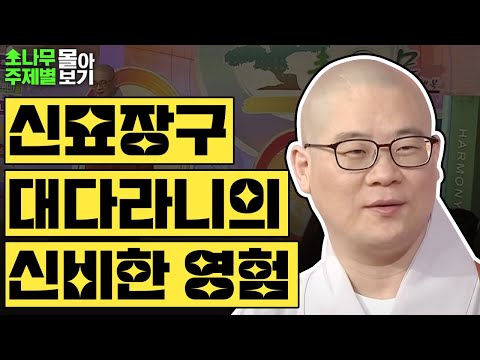 신묘장구대다라니의 신비한 영험  TOP 3✨  [광우스님 소나무 주제별 몰아보기]
