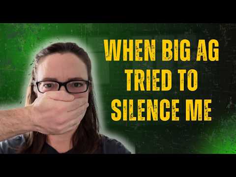 Chorus Saved My Channel. Here's My Story