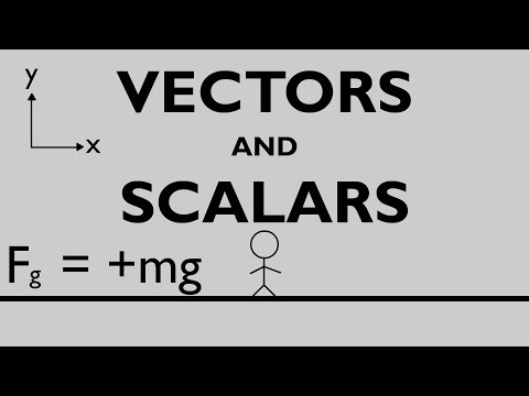 Vectors and Scalars