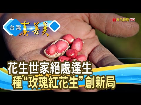父子情深“玫瑰紅花生”｜榕凱農產行-好好手作HaoHao｜【台灣真善美】2025.01.26