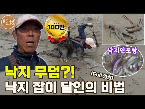 [특종세상] 낙지 무덤이 있다고?! 갯벌에 손만 넣으면 낚아 올리는 낙지 잡이 달인의 비법 MBN 181102 방송 [Full영상]