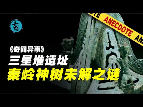 三星堆的“秦岭神树”究竟是棵什么树?它又藏着哪些秘密? #三星堆,青铜神树,考古发现,神秘悬案,中华文明