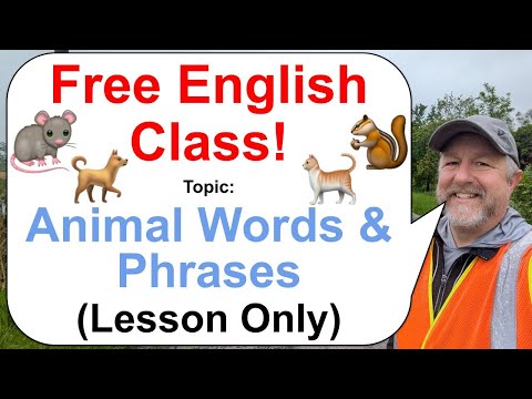 Let's Learn English! Topic: Animal Inspired Words & Phrases! πΏοΈππ