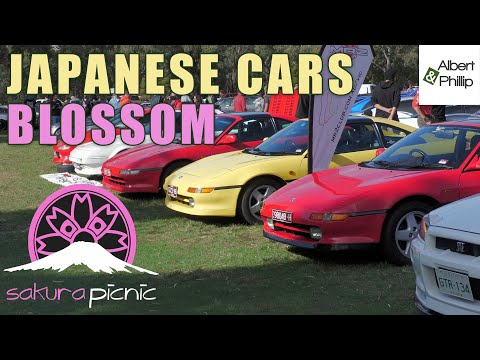 Classic Japanese JDM Cars Shine at the Sakura Picnic