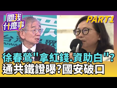 中配徐春鶯慘了! 涉反滲透法.羈押禁見...館長小心? 徐春鶯列不分區有貓膩? 銜命拿紅錢資助白大選?｜【關我什麼事PART1】陳斐娟 主持｜20251127 關我什麼事