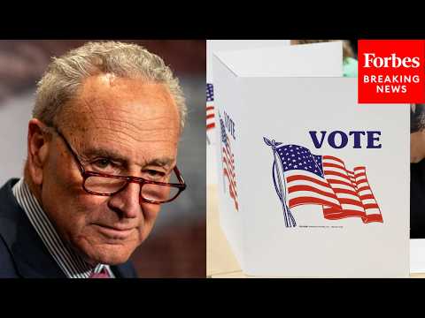 'It's Cynical, It's Un-American, It's Autocratic': Chuck Schumer Shreds SAVE America Act