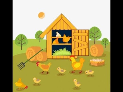 Ckicken Coop Expansions!