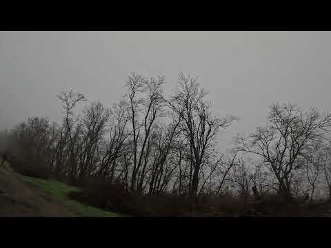 Точные выстрелы по зайцу 🐇охота на зайца 