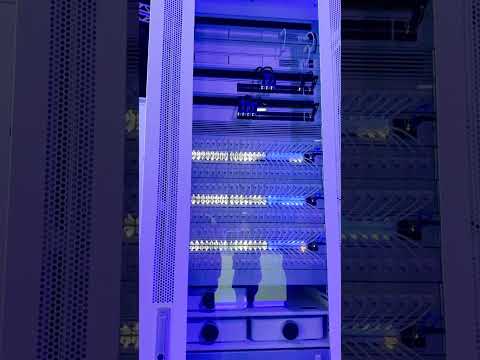 UWC London 2025 Recap