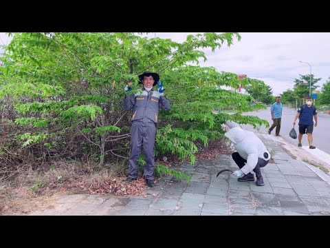 The neighbors LAUGHED when I cleaned the sidewalk in the rain, but then they were surprised