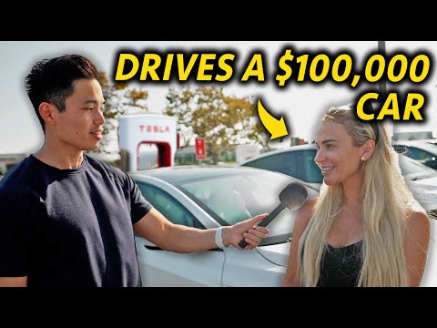 Asking Tesla Owners What They Do For a Living