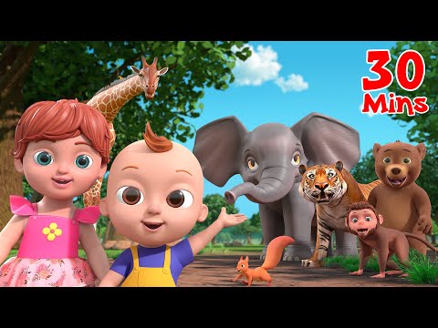 Going To the Forest (Jungle Safari) Wild Animals for Kids + More Nursery Rhymes & Songs by Beep Beep
