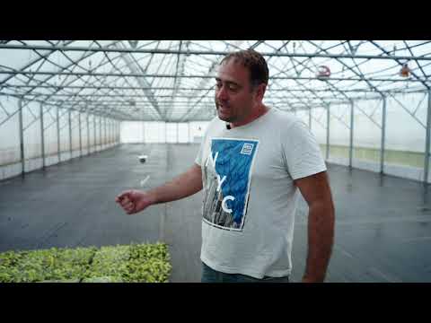 "Green Cuttings of Deciduous Shrubs" by Alexey Yeskov