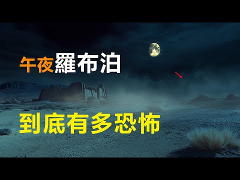 午夜羅布泊，到底有多恐怖？傳說有去無回，真實中的場景，被眼前這一幕驚呆了！#極簡史#羅布泊